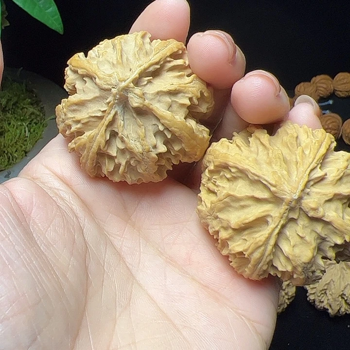 文玩核桃把件麦*秦岭植物核桃