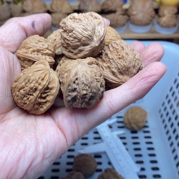 小***～把件文玩核桃文玩