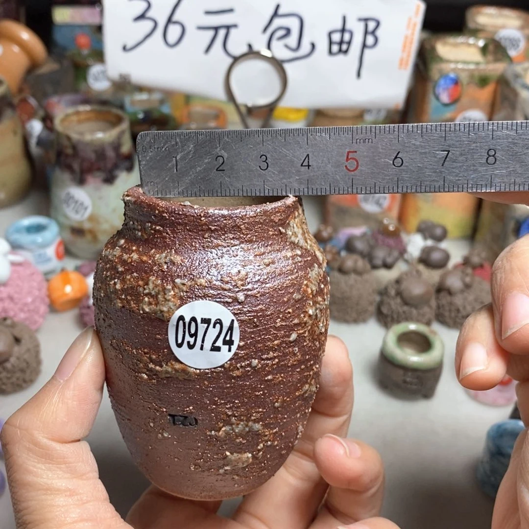 拍5送一个小礼物