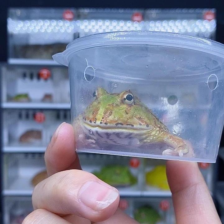 特价秒杀现货特价