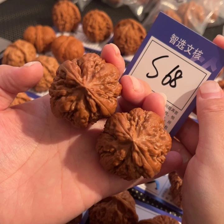 把件文玩核桃S68号霸王龙42