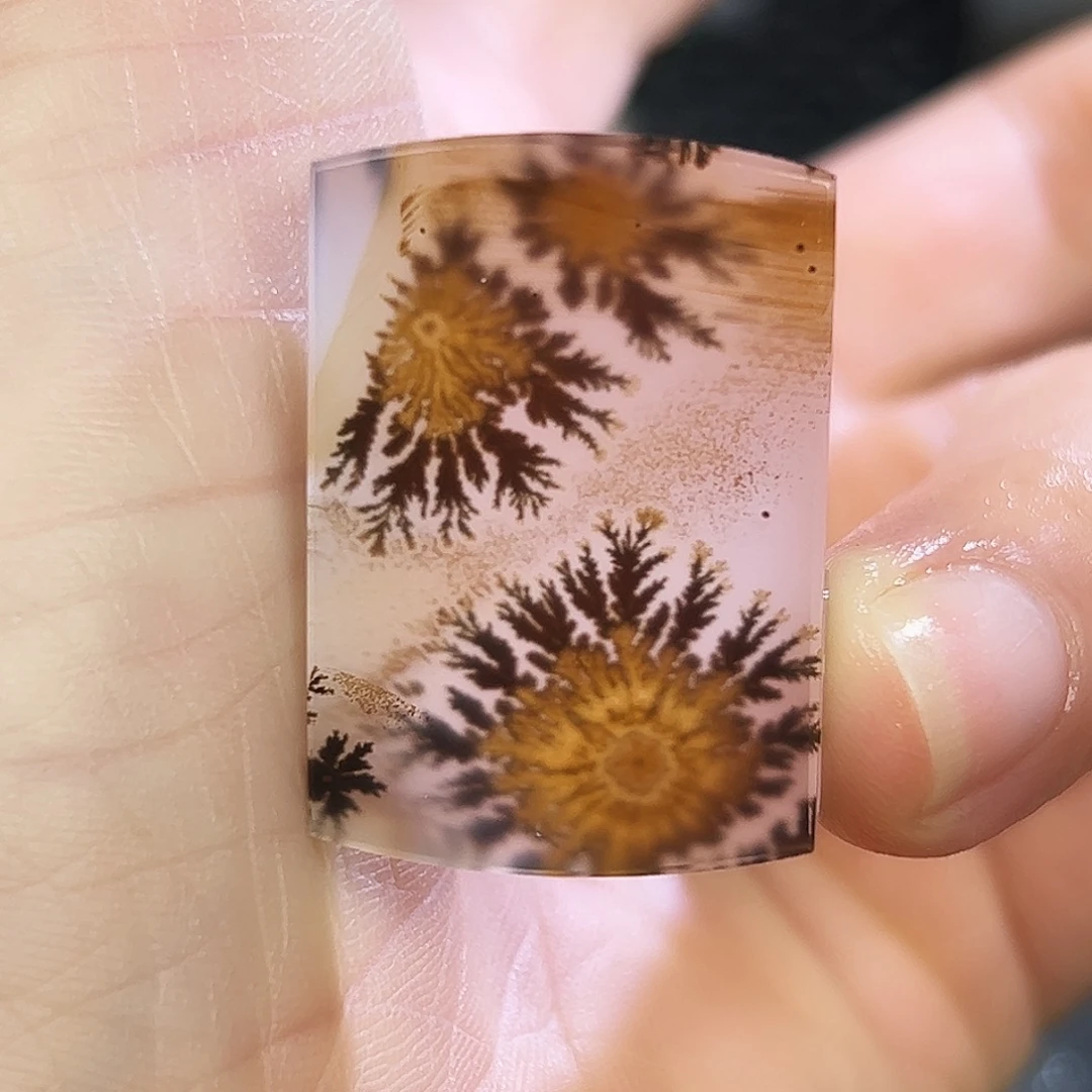 泽***宝玛瑙/玉髓未镶嵌珠宝半成品