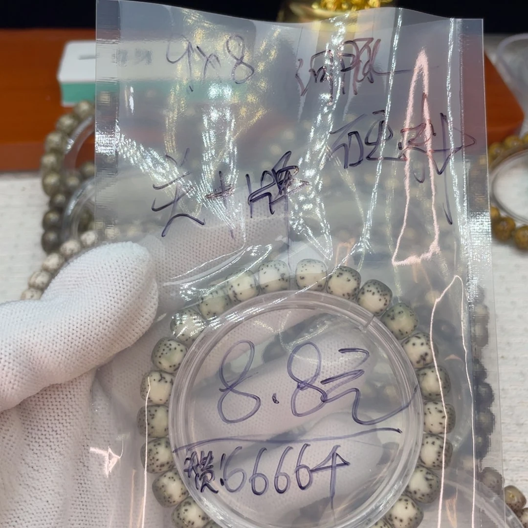 菩提籽类M绿背河豚