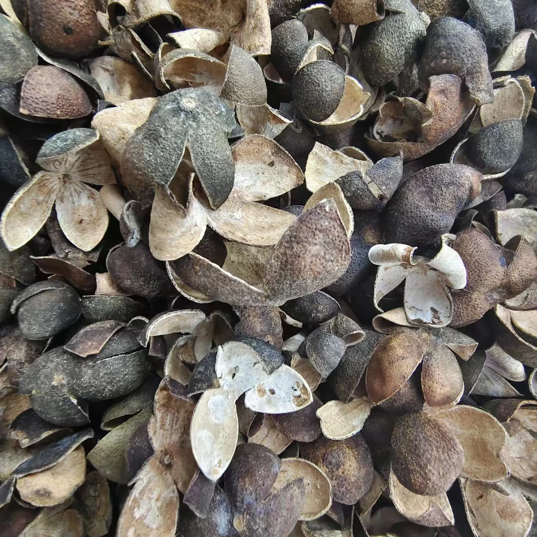 【阿强陈皮】东甲牛比围瓮四花青断皮 东28陈 250g 拍一发六