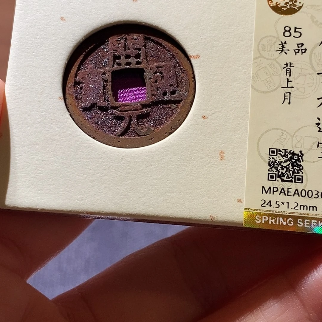 贝壳1 恭喜发财恭喜发财