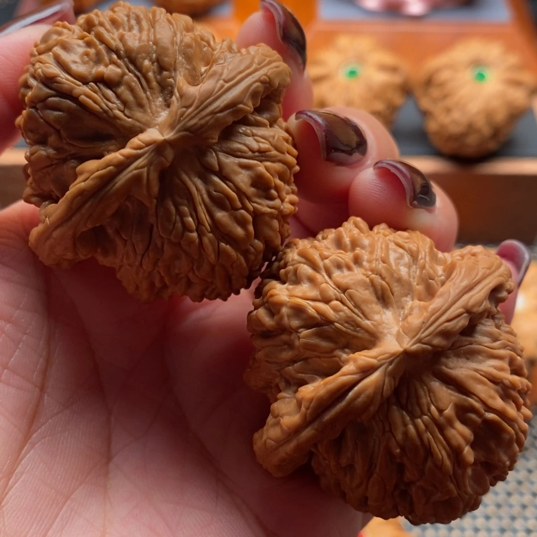 文玩核桃把件45尺寸白狮子