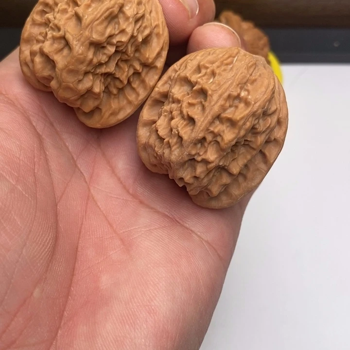 野狼狮子头37尺寸全品