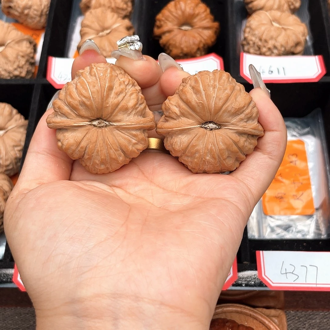 文玩核桃把件X****?43肚棱等宽近正肩深凹底4377