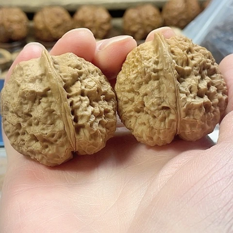 文玩核桃把件金刚佛手带彩41+