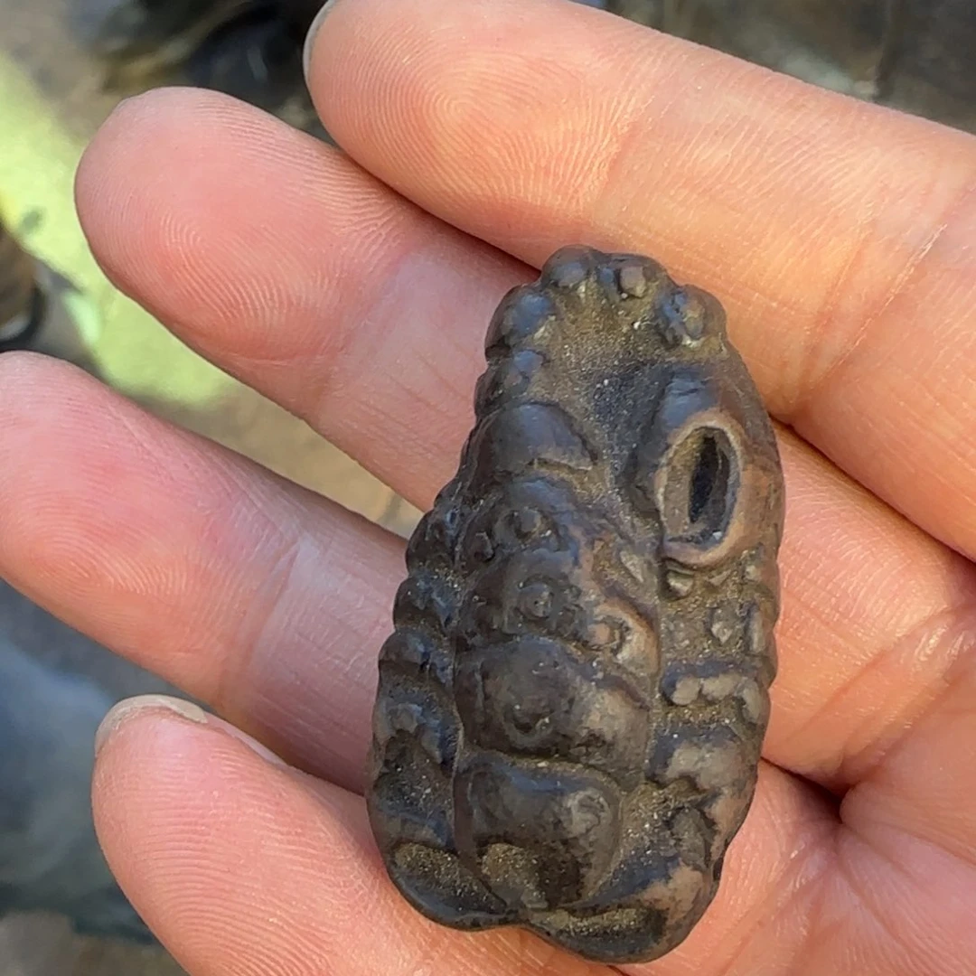 泥塑擦擦九尾蝎一个