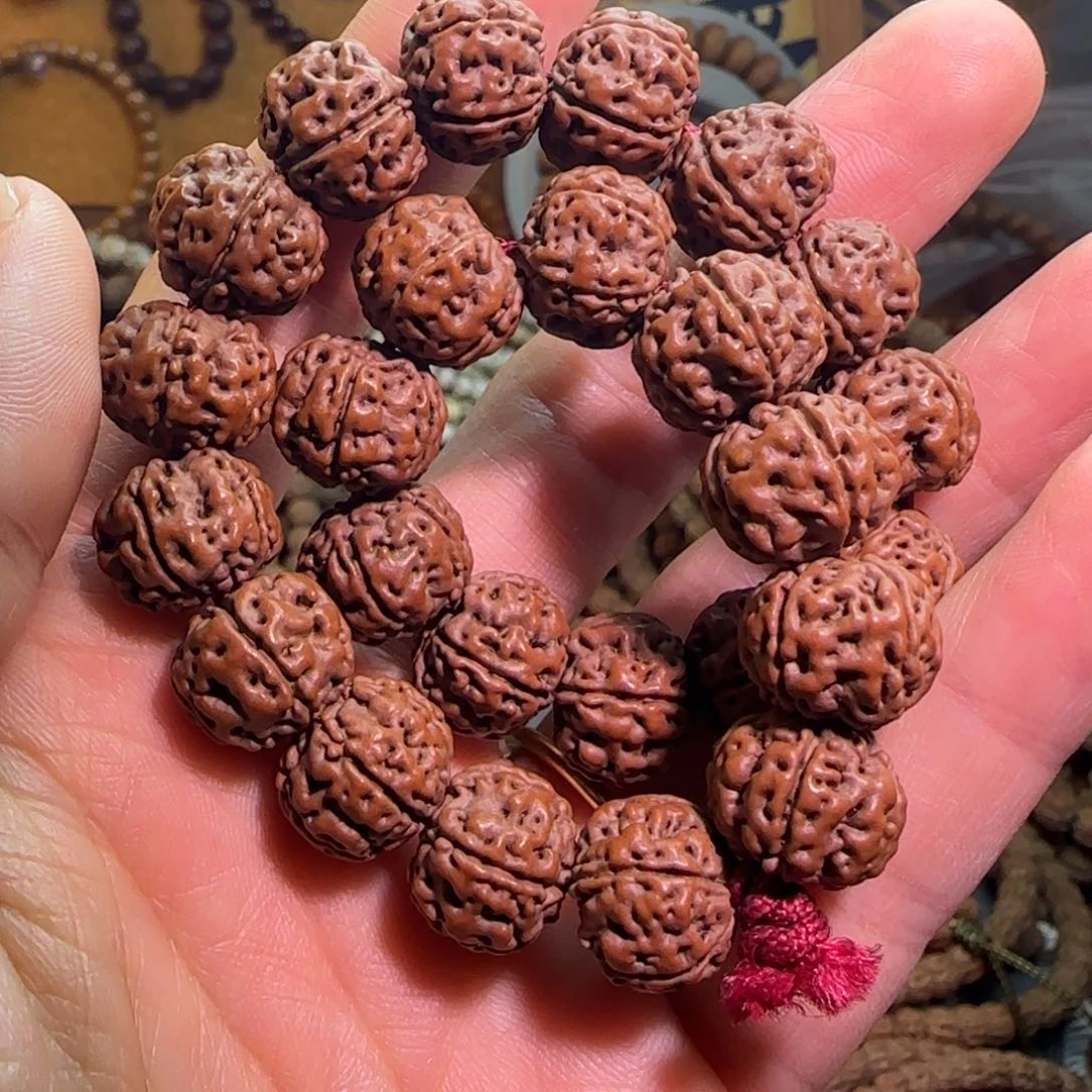 手串金刚菩提老树王