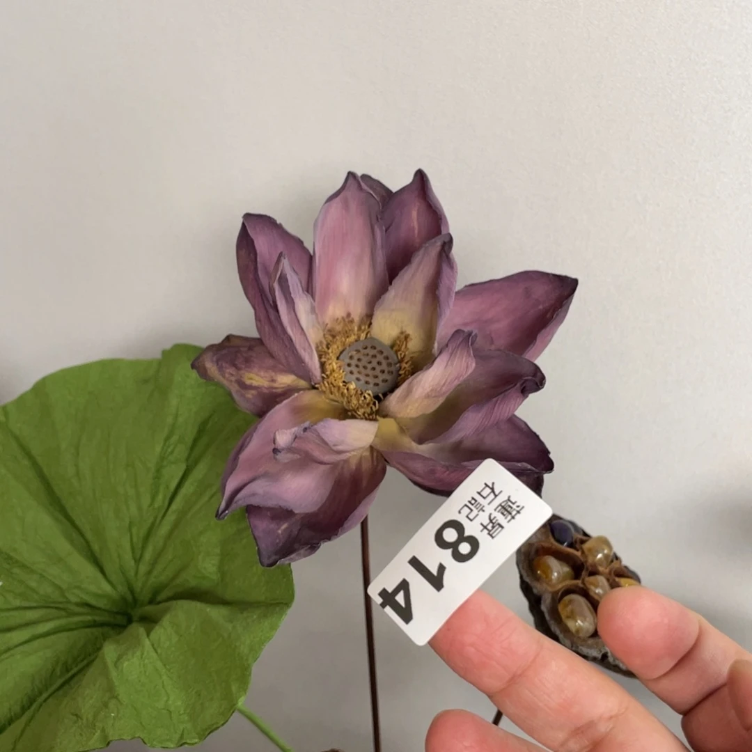 核桃木/黑胡桃（胡桃木）814真荷花花苞