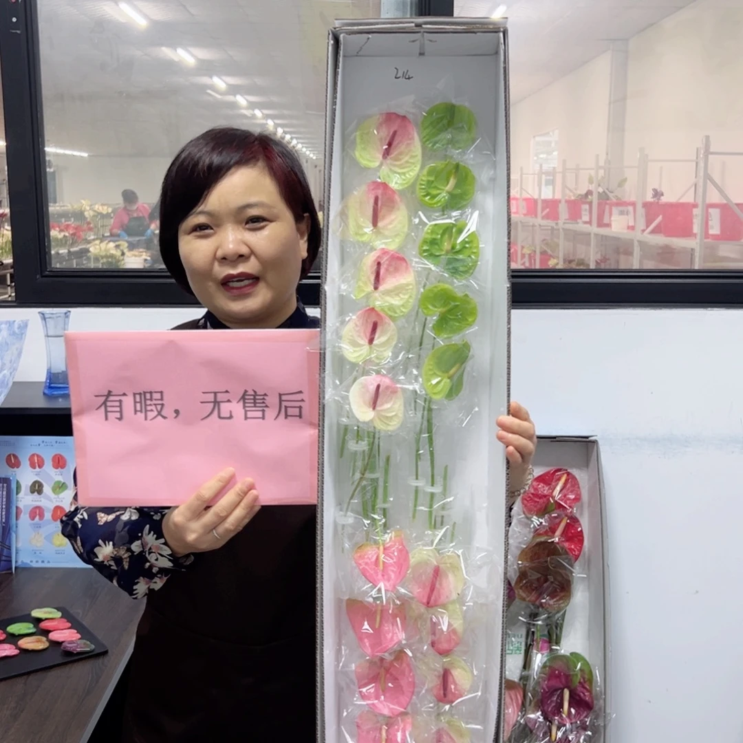 完全开放20枝混色迷你无售后款214