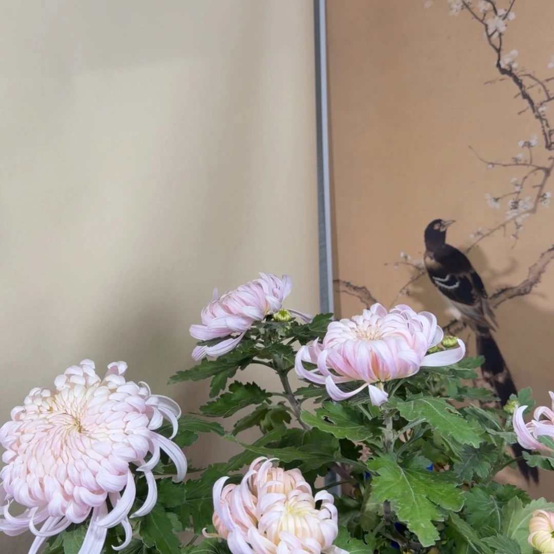 完全开放E2222222222