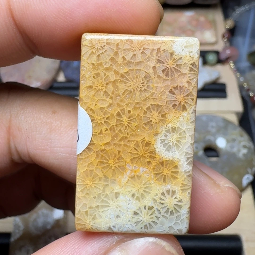 未镶嵌纯天然色有机玉石保真色硅化玉