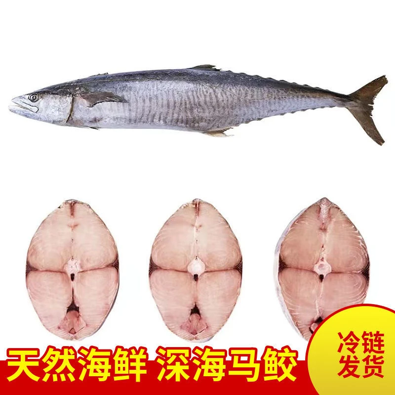 北部湾本港深海捕捞特大马鲛鱼