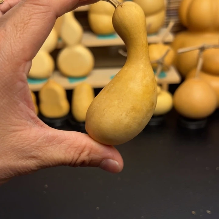 阿*36666669999996696