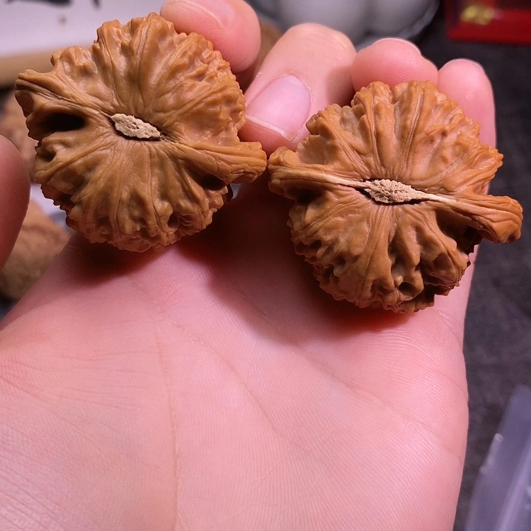 文玩核桃把件白狮子45