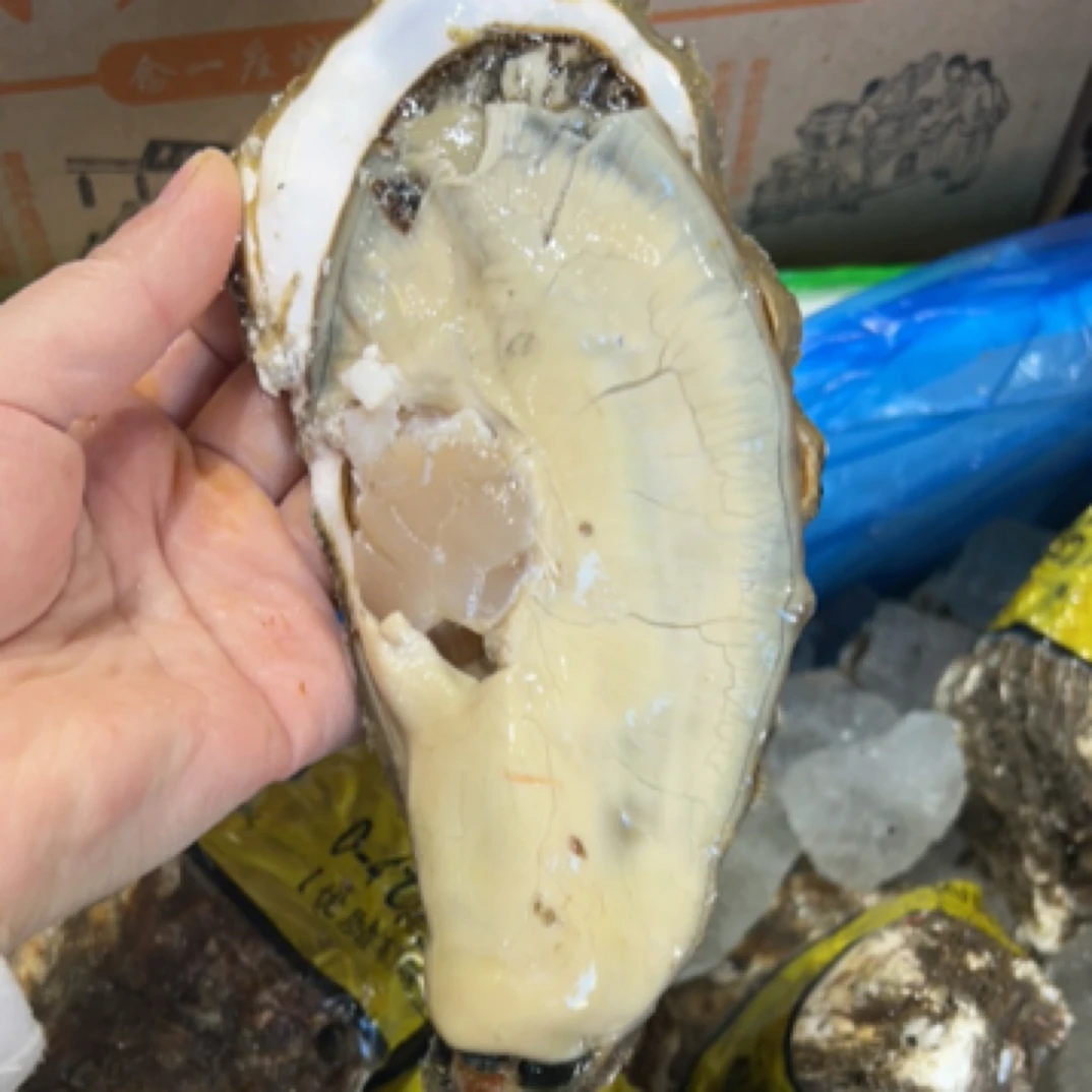 乳山生蚝蚝 2两以上超肥 500G