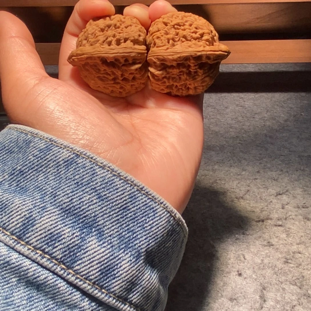 核桃手串/手链s*n38全品毕业南疆