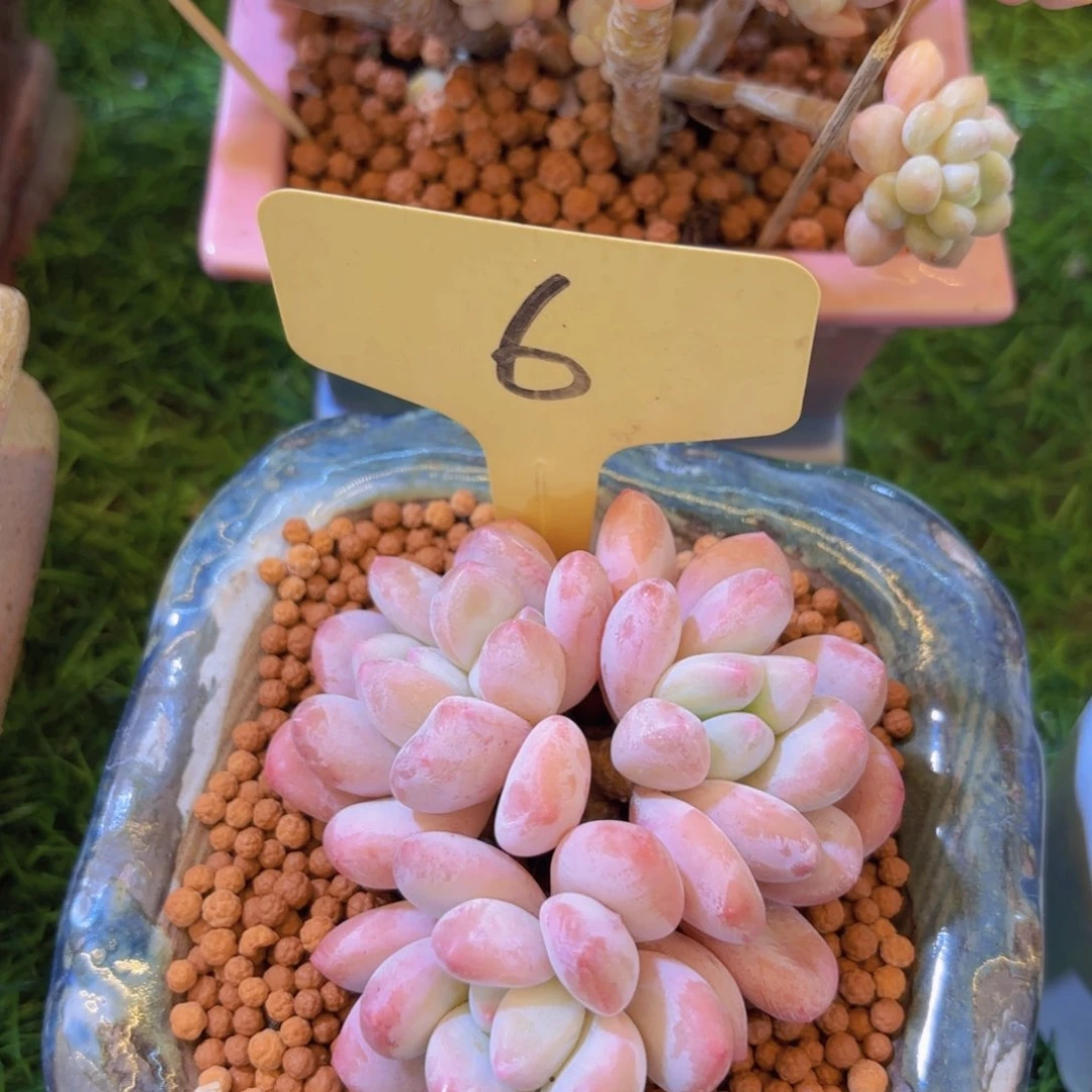 薇*我的小可爱们都好可爱