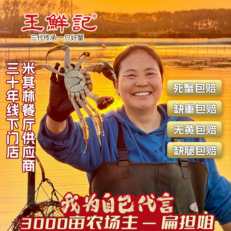 【活蟹礼盒】公3.5两+母3.5两*4/5对到手8/10只扁担姐大闸蟹