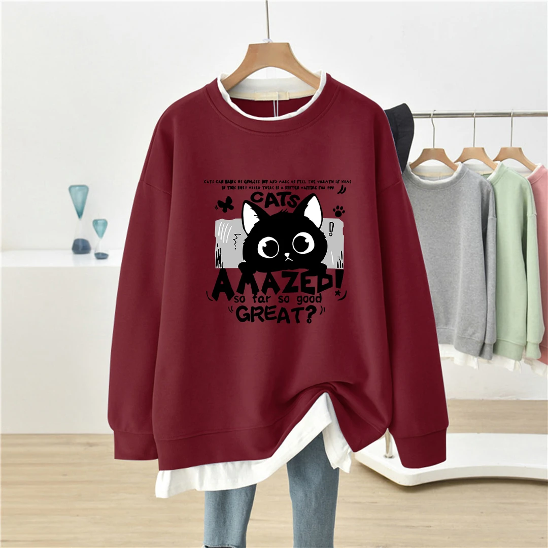 假两件卫衣女2025新款秋季薄款大码宽松设计感小个子遮肚长袖上衣