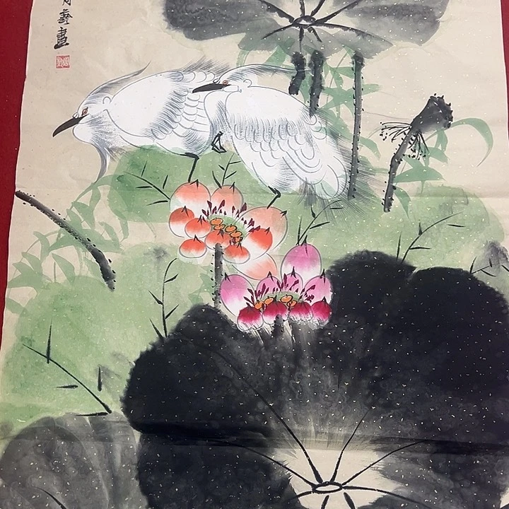 横款新号开播，全场给漏……