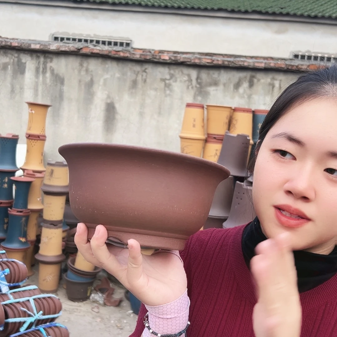 21查林小碗花盆花盆花盆