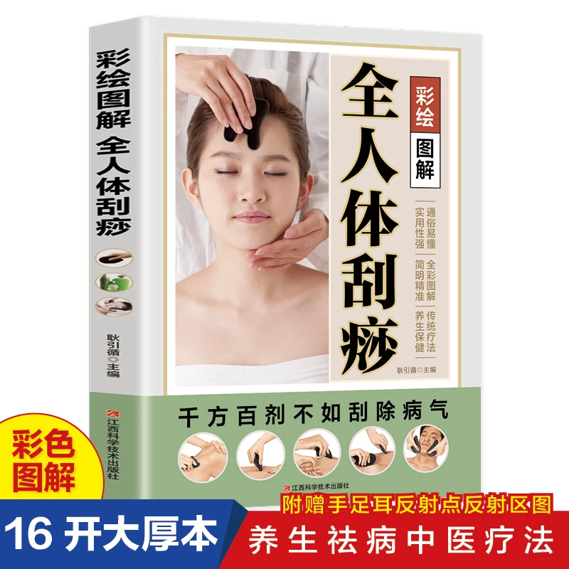 新版 彩绘图解全人体刮痧