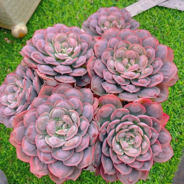 谢谢你的支持0000028