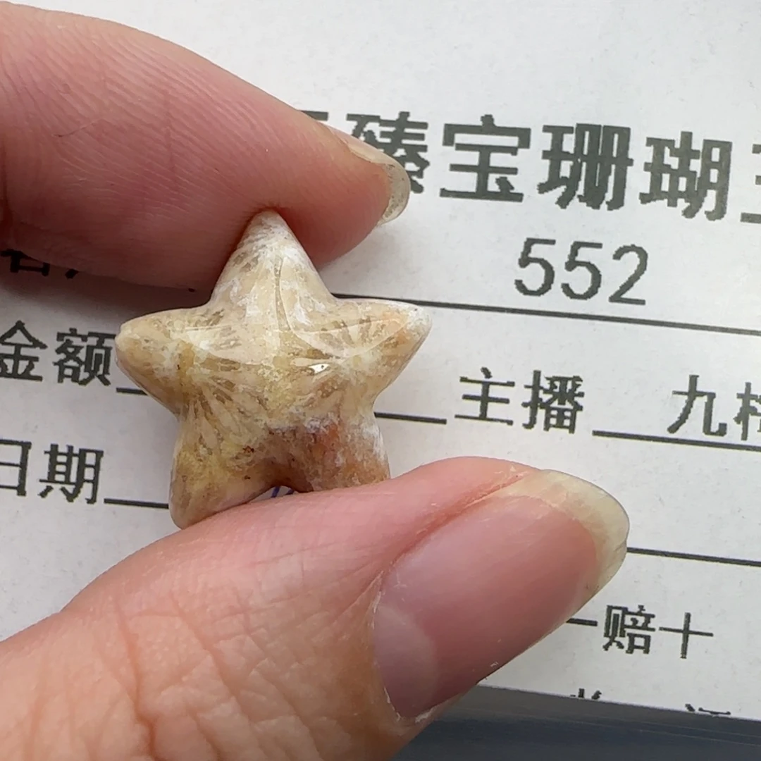 硅化珊瑚（珊瑚玉）未镶嵌吊坠(不含链)