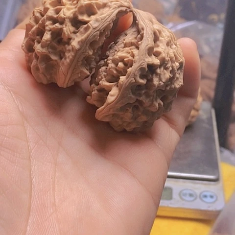 桃核吊坠用****5官帽蛇头