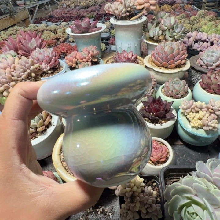 特价花盆 满50发货 内口7