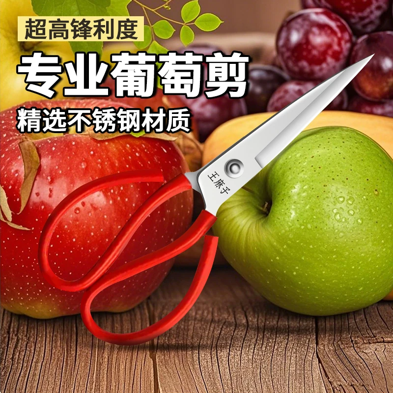 王麻子剪刀不锈钢蔬果翘头剪树枝剪摘果剪尖头葡萄直头园林工具