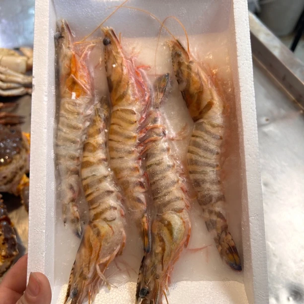 野生海捕斑节虾鲜美肉质深海竹节虾九节虾