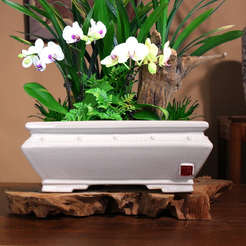 陶瓷冰裂长方马槽盆陶瓷花盆清仓椭圆盆景盆室内简约老桩花盆