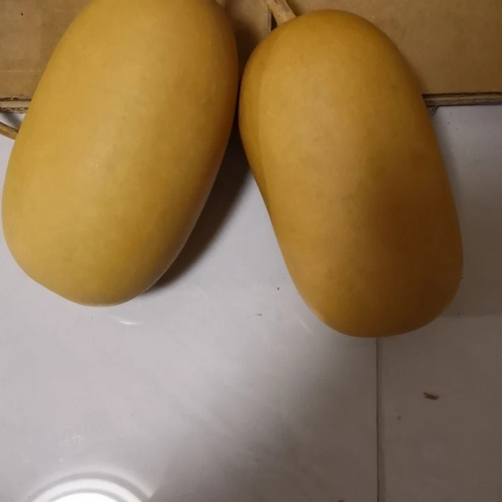 嘟****自然葫芦专拍链接