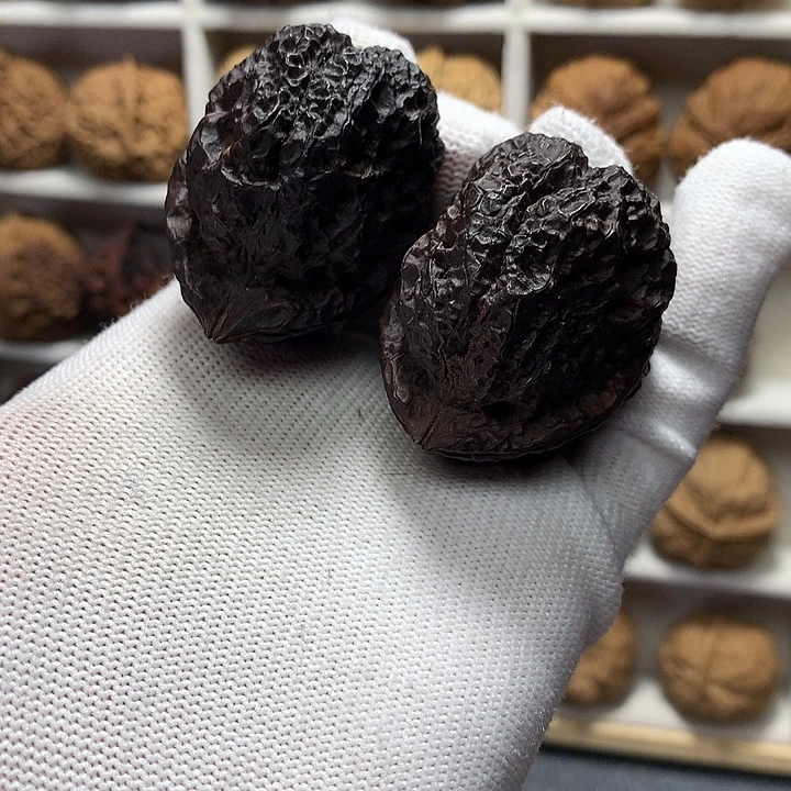 核桃45尺羊角金蟾25号