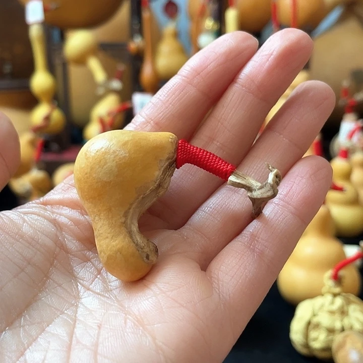 锦*葫芦岛连山区……去你身边了……好