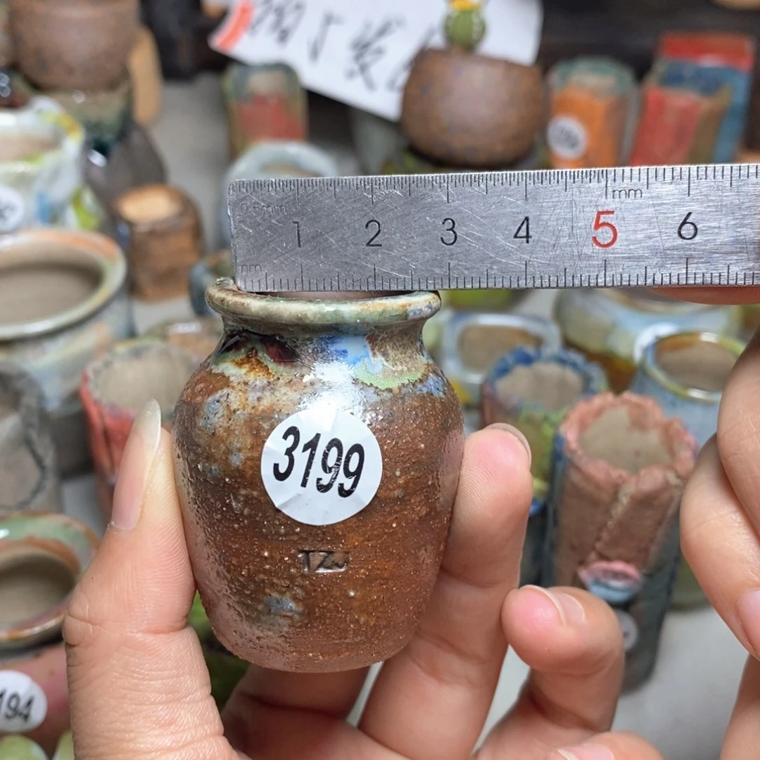 拍5送一个小礼物