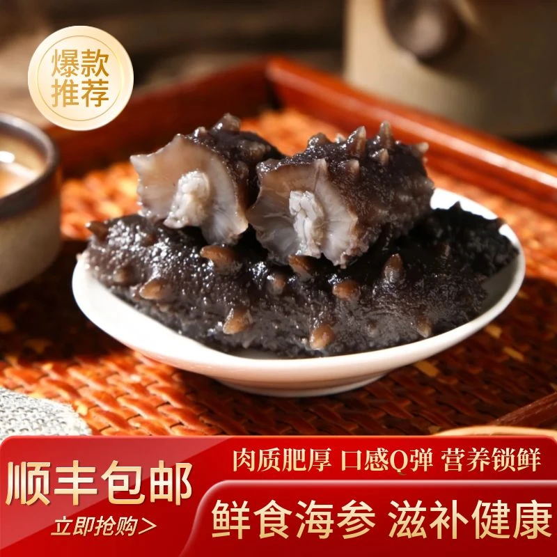 【特惠鲜食大头】4-9/斤即食大连顺丰营养滋补真空包装口感紧实Q弹