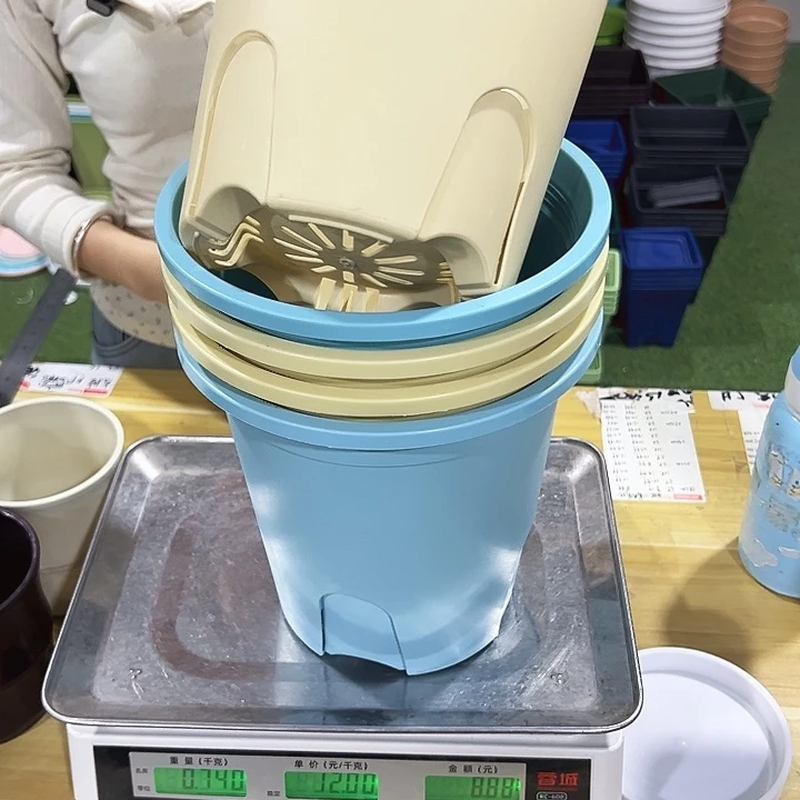特价圆控口21高21混色无托5只