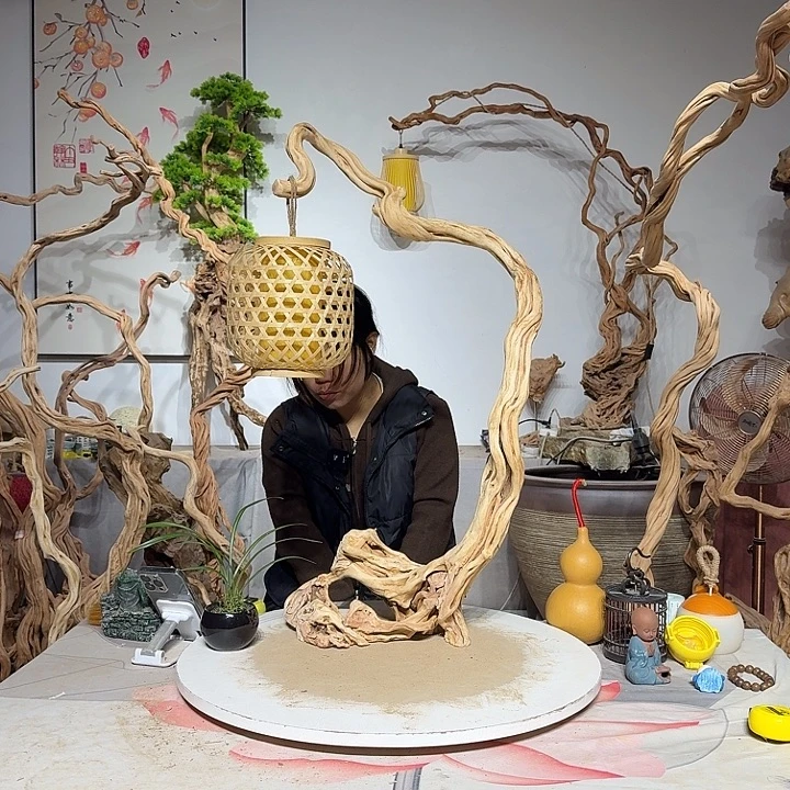 陈***子杜鹃根和杜鹃枝是