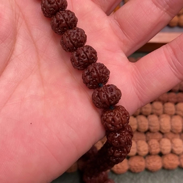 菩提此****忆纯血老树王