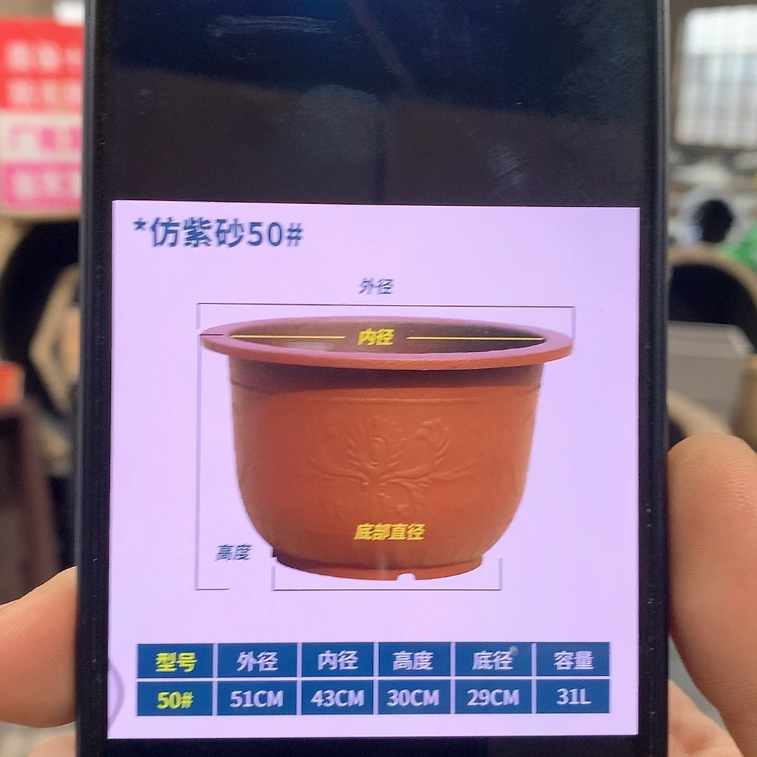 复合用**婷花盆花开了一