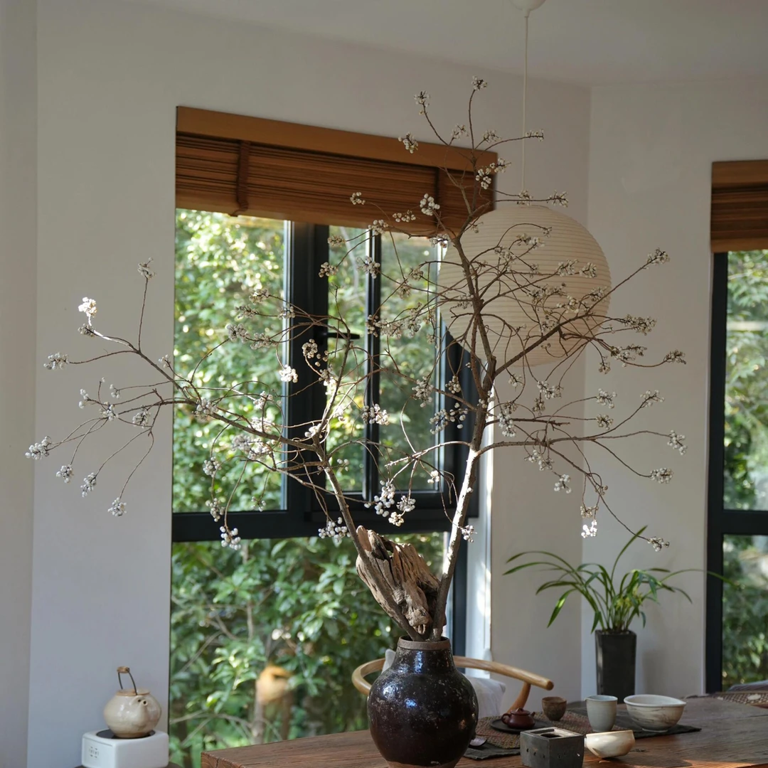 AA级乌桕果小白果云南基地直发干花插花小众花材