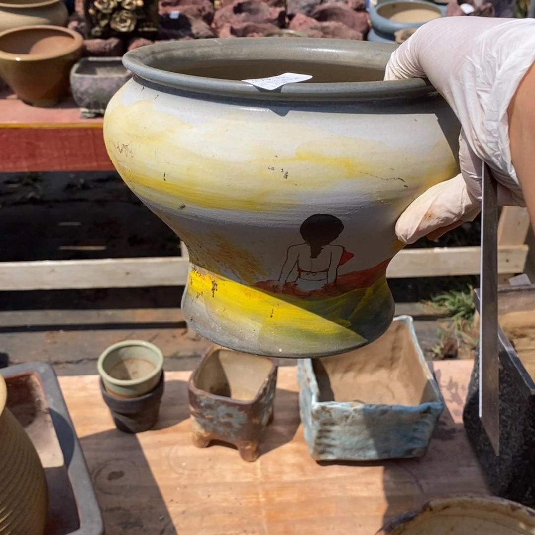 红陶东*78号多肉盆一个呀