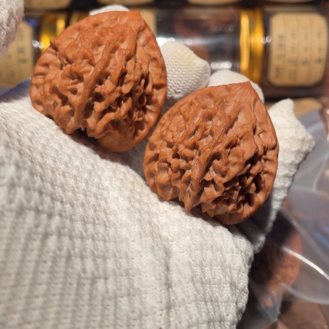 核桃41龙门涧jjjjjj