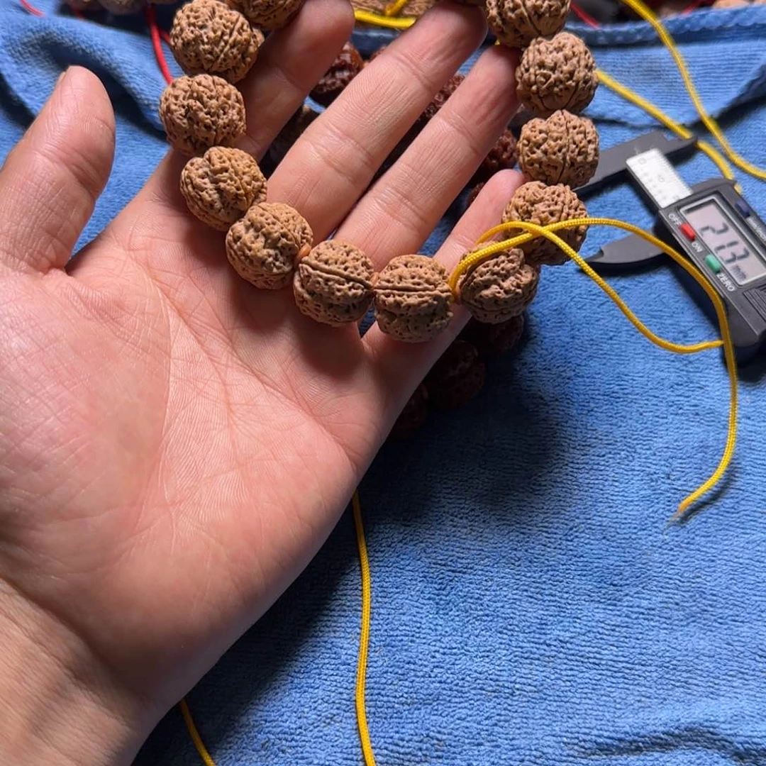 金刚菩提手串21尺寸霸王龙